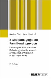 Sozialpädagogische Familiendiagnosen - Deutungsmuster familiärer Belastungssituationen und erzieherischer Notlagen in der Jugendhilfe